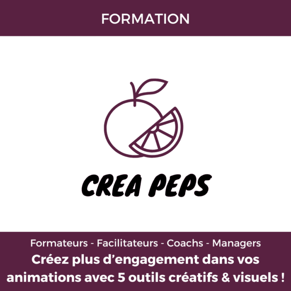 formation créativité "créa peps" pour formateurs, facilitateurs, coachs et managers désirant créer plus d'engagement dans leurs animations grâce à 5 outils créatifs et visuels, copyright Valérie Faure